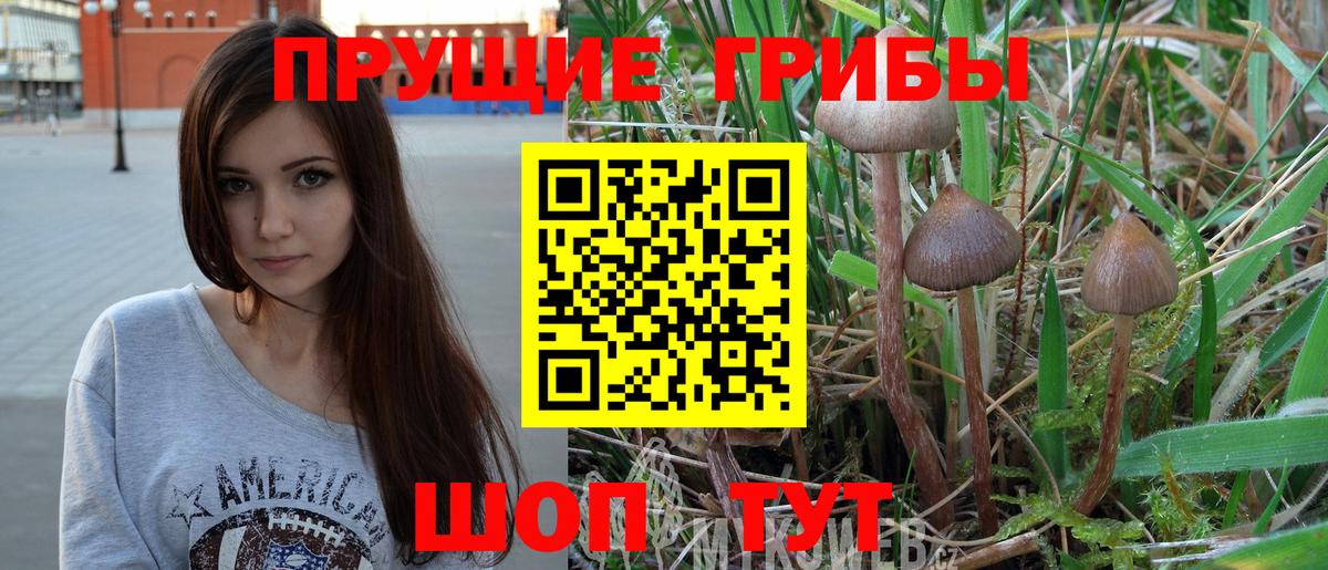 Старая Купавна  Галлюциногенные грибы Psilocybine cubensis  Вход с VPN 